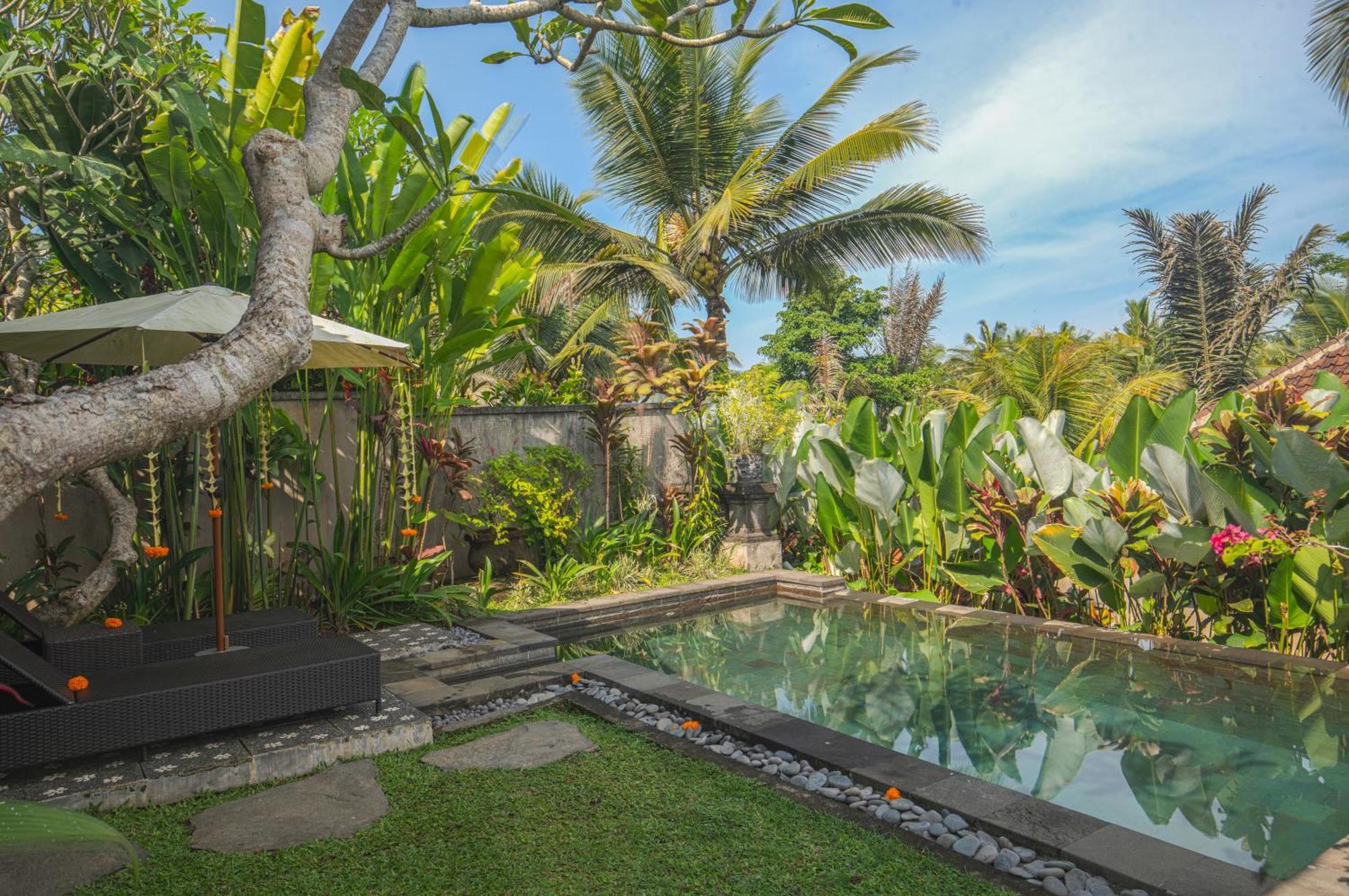 Taluh Bebek Ubud Private Villas Exteriör bild